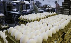 Kuş Gribi Avrupa'yı Vurdu, Türkiye'nin Yumurta İhracatı Patladı