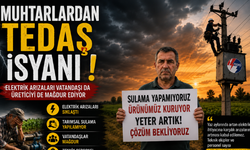 Muhtarlardan Elektrik Kesintilerine Tepki: “Çiftçi Mağdur Ediliyor”