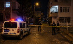 Dilovası'nda Kadın Cinayeti: 5 Çocuk Annesi Hayatını Kaybetti