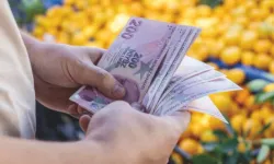 Dijital Kültürde Enflasyonun Yeni Dili: Mizah
