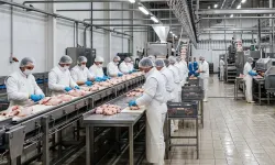 Kayyum Kararı Sonrası Başsavcılıktan Açıklama: “Şirketlere El Konulmadı”