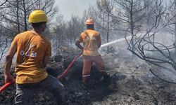 Antalya'da Orman Yangını! Aksu'da Havadan ve Karadan Müdahale