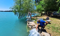 Manavgat'ın Su Kaynaklarına 400 Bin Sazan Yavrusu Bırakıldı