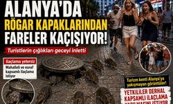 FARELER MAHALLELİYİ CANINDAN BEZDİRDİ