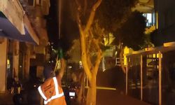Alanya'da Yakarca Alarmı: Belediye Gece Mesaisine Çıktı