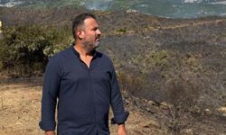 Zafer Partisi Alanya’dan Yangın Açıklaması: “Ormanlarımız Geleceğimizdir”