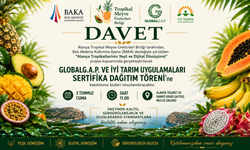 Alanya'da Tropikal Meyvecilikte Yeni Dönem: 25 Üretici Uluslararası Sertifika Alacak