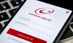 Adınıza Şirket Açılmış Olabilir: e-Devlet'ten Tek Tıkla Kontrol Edilebiliyor