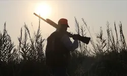 Av Sezonu 18 Ağustos'ta Başlıyor: Bıldırcın, Yaban Domuzu ve Çakal Avına İzin Verilecek