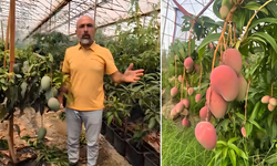 Başkan Hüddoğlu’ndan Mango İsyanı! “Üretici Gram Gram Eriyor”