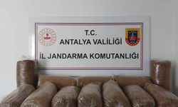 Alanya'da Jandarmadan Kaçak Tütün Operasyonu
