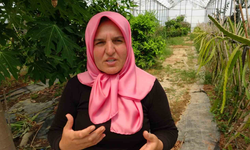 Evin Çatısında Başlayan Üretim, Tropikal Meyve Müzesine Dönüştü