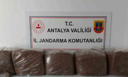 Alanya Ve Demre’de Kaçak Tütün Operasyonu: 285 Kilo Tütün Ele Geçirildi