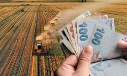 Çiftçiye 195,6 Milyon TL’lik Destek Ödemesi Hesaplara Yatırıldı
