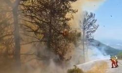 Alanya Tepe Mahallesi’nde Orman Yangını