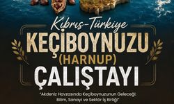 ALANYA KEÇİBOYNUZU DÜNYAYA AÇILIYOR!