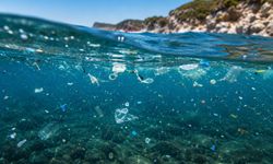 Alanya’nın Denizinde Plastik Alarmı: Belediye Sorumluyu Dışarıda Arıyor