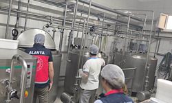 Alanya Ve Döşemealtı'da Gıda Güvenliği İçin Sıkı Takip