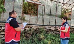 Alanya’da 22 Bin Dekarlık Dev Çalışma: Seralar Tek Tek Puanlanacak