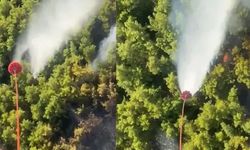 Manavgat’taki Orman Yangını Kontrol Altına Alındı