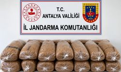 Alanya’da Kaçak Tütün Operasyonu: 144 Kilogram Tütün Ele Geçirildi