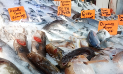 Alanya Balık Hali’nde Tezgâh Dolu, Müşteri Az