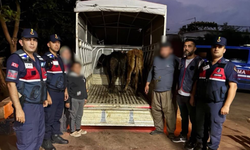 Korkuteli'de Hayvan Hırsızlarına JASAT Darbesi