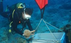 Antalya Kekova’da Tarihi Keşif: Dünyanın En Eski Batığının İzleri Bulundu!