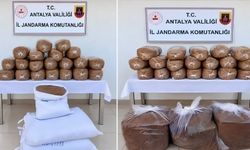 Antalya Jandarmasından 4 İlçede Kaçak Tütün Operasyonu