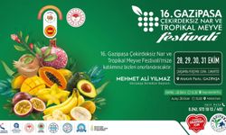 Gazipaşa’da 16. Çekirdeksiz Nar ve Tropikal Meyve Festivali Kapılarını Açıyor!