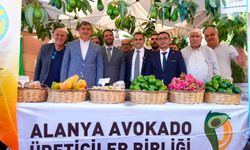 Alanya’da Tropikal Meyve Festivali Başladı: 679 Gramlık Avokado Zirveye Çıktı