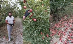 Antalya'lı Üreticinin İsyanı! Bizden 4TL'ye Aldığınız Ürünü Pazarda 50-60 TL Nasıl Satıyorsunuz?