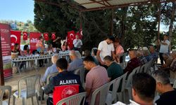 Alanya İncekum’da Keçiboynuzu Hamlesi: "Fakir Toprakların Zengin Bitkisi" Masaya Yatırıldı!