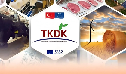 KASIM 2024'TE 114,9 MİLYON TL'LİK IPARD HİBE DESTEĞİ ÖDEMESİ YAPILDI