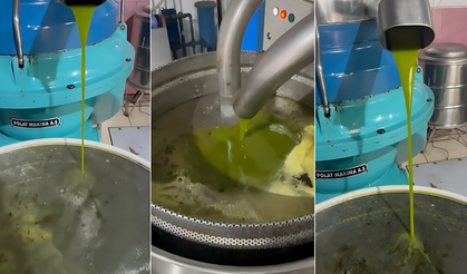 ARSLAN FİDANCILIK HER DERDE DEVA AVOKADO YAĞI ÜRETİMİNE BAŞLADI