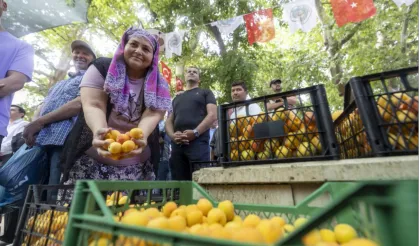 Kayısı Festivali'nde büyük coşku
