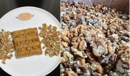 Ünlü Baklavacının Kurtlu Ceviz Skandalı Büyüyor!