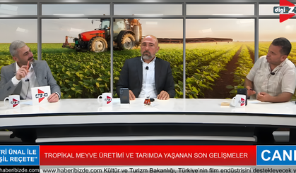 Alanya’da İthal Avokado Tartışmaları Hız Kesmeden Devam Ediyor