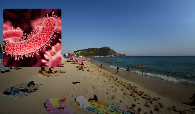 Alanya Kıyılarında Sessiz Tehlike: Vibrio Bakterileri Tespit Edildi