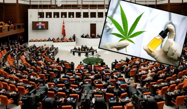 Eczanelerde Tıbbi Kenevir Dönemi Başladı