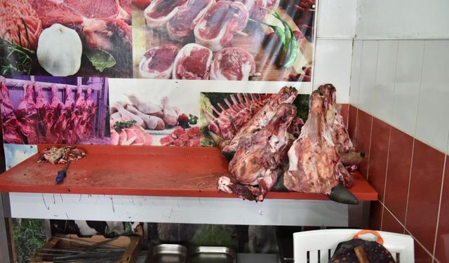 Yumurta Paketinden Hamam Böceği Şoku: Denetimde Skandal Görüntüler