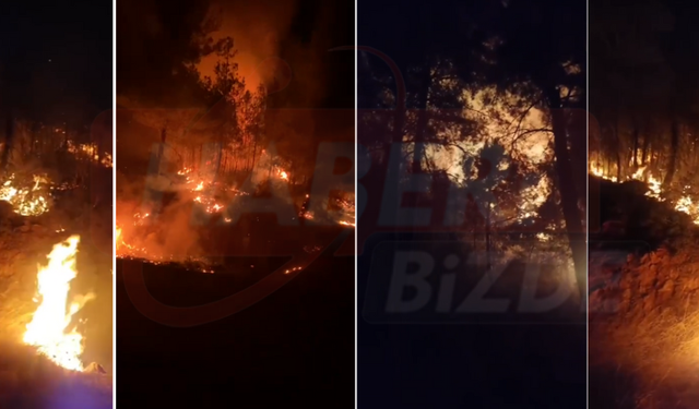 Antalya Gazipaşa’da Orman Yangını: Ekipler Olay Yerinde