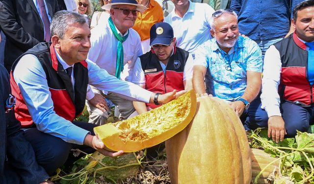 Tarladan Sofralara Döşemealtı Camili Bal Kabağı: Coğrafi İşaret Yolunda Hasat Şöleni