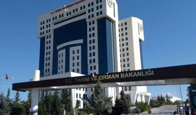 Antalya'da Gıda Güvenliği Hakkında Alarm Verilirken Alanya Ne Durumda?