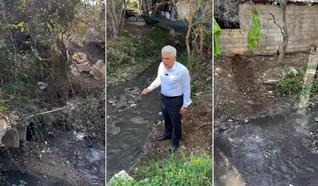 Alanya’nın Mahmutlar Mahallesinde Atık Su Krizi: Muhtar Sonunda İsyan Etti