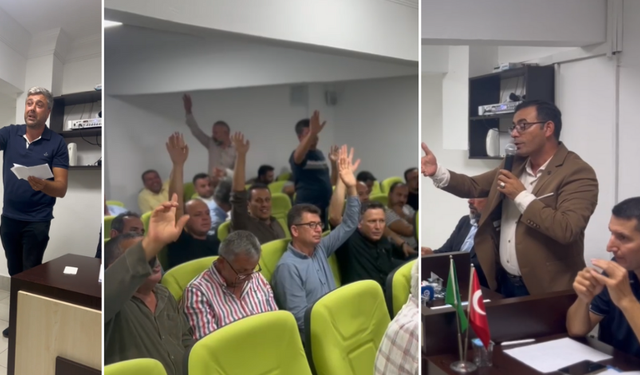 Alanya’da Avokado Üreticileri Arasında Kilo-Adet Krizi: Kazanç Hesapları Gerilimi Artırdı