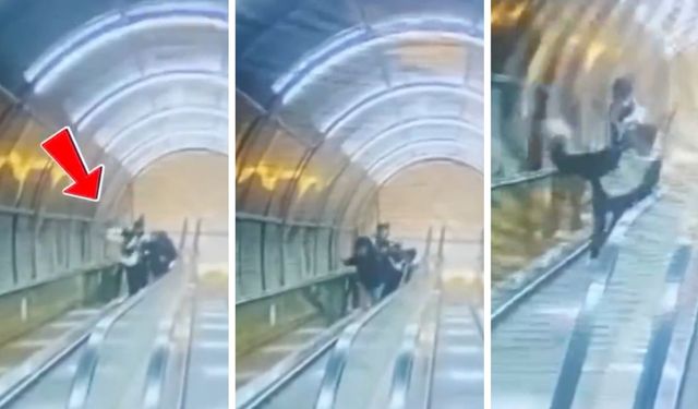 İzmir'de Bir Grup Genç Üst Geçidin Camlarını Kırdı