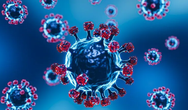 Alanya'da Covid Varyantları Alarm Veriyor