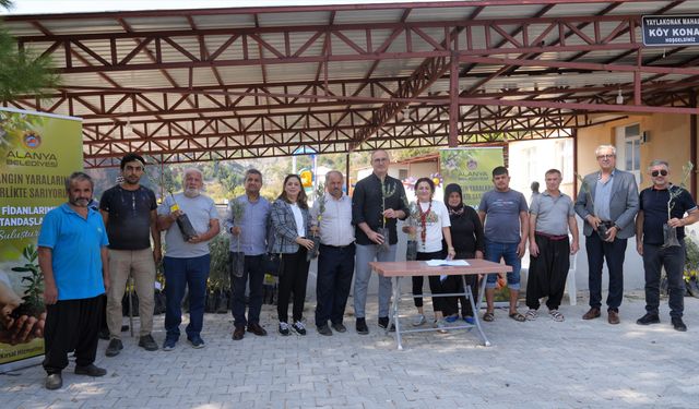 Alanya Belediyesi’nden Yaylakonak’a Can Suyu: Zeytin Fidanları Toprakla Buluştu