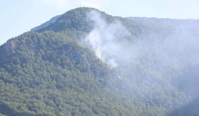 Alanya'da Dağlık Bölgede Çıkan Orman Yangını Kısa Sürede Kontrol Altına Alındı